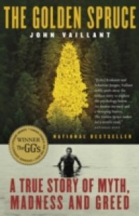 Golden Spruce