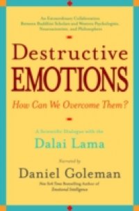 Destructive Emotions