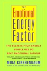 Emotional Energy Factor