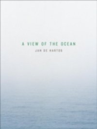 View of the Ocean