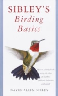 Sibley`s Birding Basics