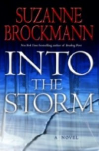 Читать Into the Storm