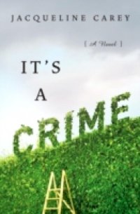 It`s a Crime