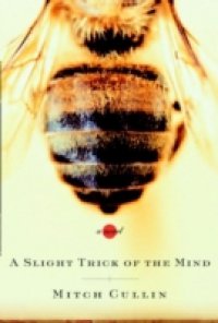 Slight Trick of the Mind
