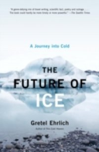 Future of Ice