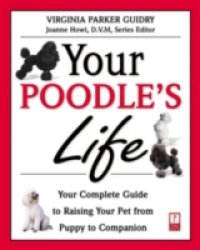 Your Poodle`s Life