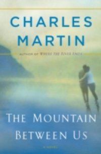 Mountain Between Us