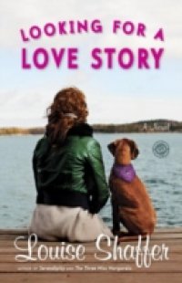 Looking for a Love Story