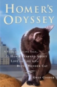 Homer`s Odyssey