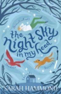 Night Sky in my Head