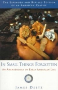 In Small Things Forgotten