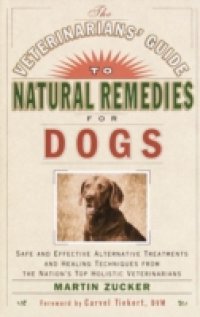 Veterinarians` Guide to Natural Remedies for Dogs