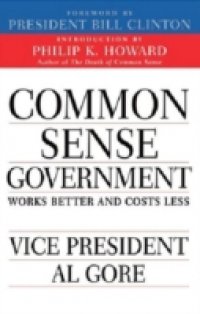 Common Sense Government