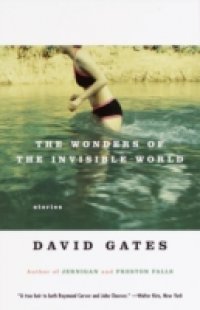 Wonders of the Invisible World