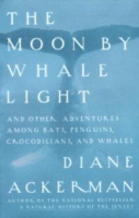 Moon By Whale Light
