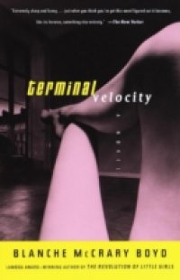 Terminal Velocity