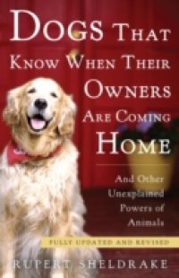 Dogs That Know When Their Owners Are Coming Home