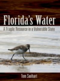 Читать Florida`s Water