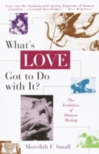 What`s Love Got to Do with It?