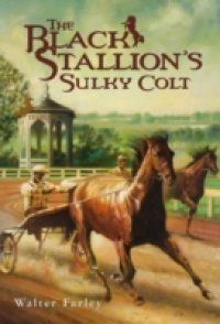 Black Stallion`s Sulky Colt