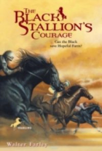 Black Stallion`s Courage