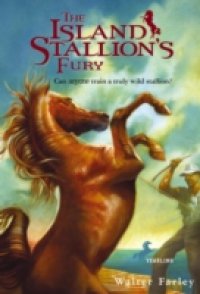 Island Stallion`s Fury