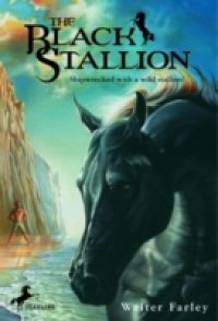 Black Stallion