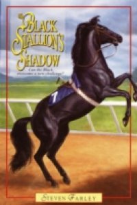 Black Stallion`s Shadow