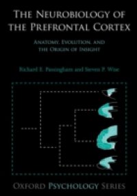 Neurobiology of the Prefrontal Cortex: Anatomy, Evolution, and the Origin of Insight