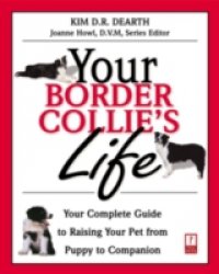 Your Border Collie`s Life