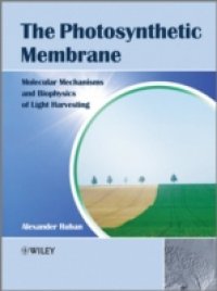 Читать Photosynthetic Membrane