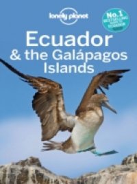 Читать Lonely Planet Ecuador & the Galapagos Islands