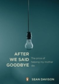 After We Said Goodbye