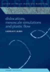 Diss, Mesoscale Simulations and Plastic Flow