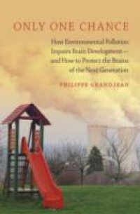 Only One Chance: How Environmental Pollution Impairs Brain Development – and How to Protect the Brains of the Next Generation