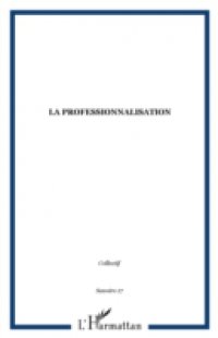 La professionnalisation