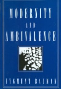 Читать Modernity and Ambivalence