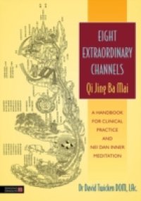 Eight Extraordinary Channels – Qi Jing Ba Mai