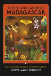 Forest and Labor in Madagascar