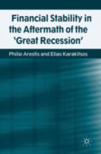 Financial Stability in the Aftermath of the `Great Recession`