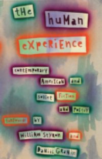 Human Experience
