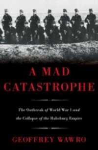 Mad Catastrophe