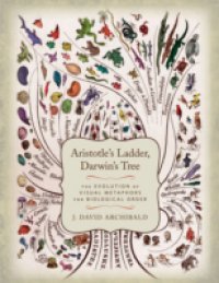Aristotle`s Ladder, Darwin`s Tree