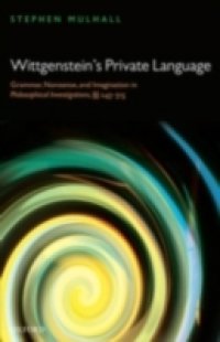 Wittgenstein`s Private Language