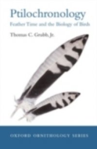 Ptilochronology: Feather time and the biology of birds