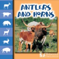 Читать Antlers and Horns