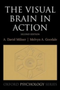 Visual Brain in Action