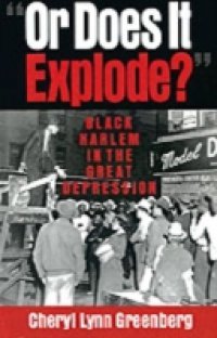 &quote;Or Does It Explode?&quote;: Black Harlem in the Great Depression