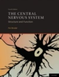 Central Nervous System