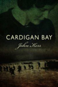 Cardigan Bay